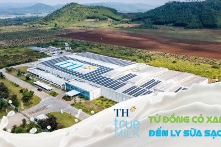 TH true MILK với mô hình "từ đồng cỏ đến ly sữa sạch"