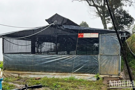 Nhà màng nuôi cấy mô của Công ty cổ phần Rượu sâm Ngọc Linh Kon Tum tại xã Ngọk Lây, huyện Tu Mơ Rông.