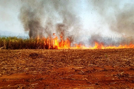 Hiện trường đám cháy.