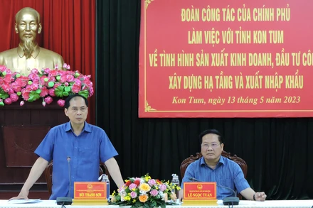 Bộ trưởng Ngoại giao Bùi Thanh Sơn phát biểu tại buổi làm việc.