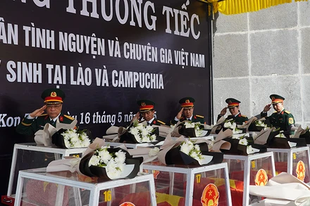 Đoàn đại biểu Ban Công tác đặc biệt-Uỷ ban chuyên trách Chính phủ viếng các liệt sĩ.