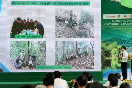 Đại diện Vườn Quốc gia Vũ Quang báo cáo công tác bảo vệ đa dạng sinh học.