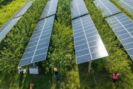 Tấm năng lượng mặt trời tại tỉnh Quý Châu, Trung Quốc. (Ảnh: AFP/TTXVN)