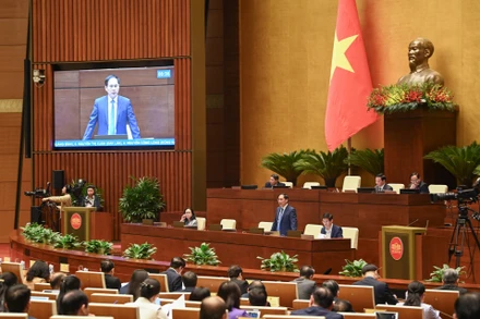 Bộ trưởng Ngoại giao Bùi Thanh Sơn trả lời chất vấn các đề đại biểu Quốc hội nêu.