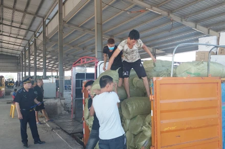 Hải quan Móng Cái kiểm soát việc bốc xếp hàng hóa tại Bãi Kiểm hóa Bắc Luân 2.