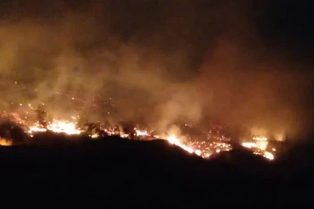 Cháy rừng ở khu vực Tiểu khu 291, thị trấn Bình Liêu, Quảng Ninh. (Ảnh do người dân cung cấp)