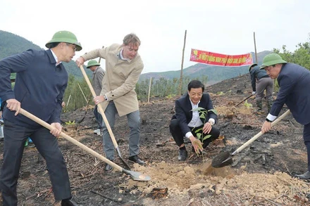 Các đại biểu tham gia trồng cây "Đời đời nhớ ơn Bác Hồ" ở xã phong Dụ, huyện Tiên Yên.