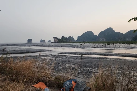 Hiện trạng khu vực triển khai dự án là bãi sình lầy nằm toàn bộ trong đường triều kiệt đã được Bộ Tài nguyên và Môi trường phê duyệt.