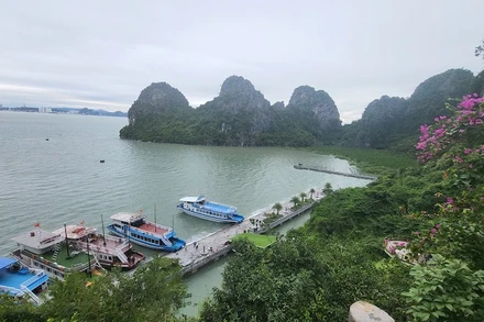 Quảng Ninh tạm ngừng cấp phép cho các tàu du lịch hoạt động trên Vịnh Hạ Long từ 15 giờ ngày 19/10.