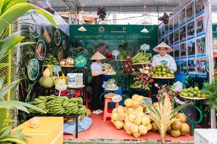 Gian hàng trưng bày trái cây đặc sản tại Festival 100 năm dừa sáp Trà Vinh.