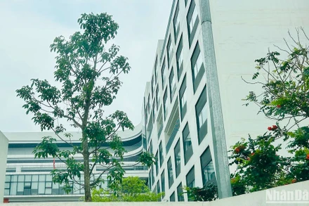 (Ảnh minh hoạ: L.H)