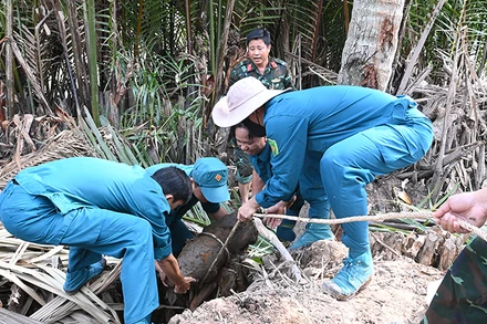 Lực lượng công binh tỉnh Trà Vinh xử lý quả bom chưa nổ, rỉ sét tại xã Hòa Tân, huyện Cầu Kè.
