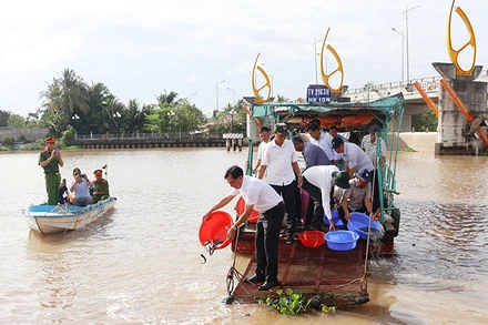 Thả cá giống ra sông tại xã An Phú Tân, huyện Cầu Kè, tỉnh Trà Vinh.