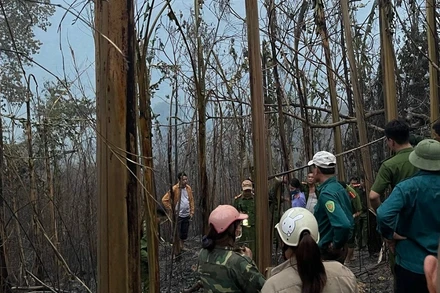Hiện trường vụ cháy rừng tại thị trấn huyện Mường Chà, tỉnh Điện Biên.