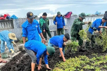 Đoàn viên thanh niên xã Sín Thầu, huyện Mường Nhé trồng cây quanh khuôn viên Cột cờ A Pa Chải.