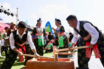 Đồng bào dân tộc H'Mông tỉnh Điện Biên thi giã bánh dày trong Ngày Tết truyền thống của dân tộc.