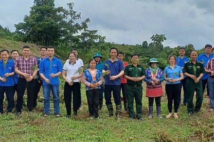 Lãnh đạo Huyện ủy Nậm Pồ cùng đoàn viên thanh niên trong huyện ra quân hưởng ứng chương trình giúp hộ nghèo trồng cây phát triển kinh tế rừng, được tổ chức tại xã Si Pa Phìn.