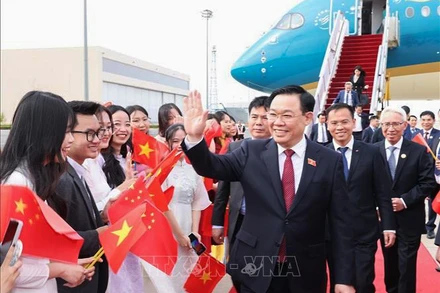 Cán bộ, nhân viên Đại sứ quán và đại diện cộng đồng người Việt Nam đón Chủ tịch Quốc hội Vương Đình Huệ tại sân bay quốc tế Bắc Kinh. (Ảnh: Nhan Sáng/TTXVN)