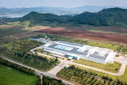 [Ảnh] Toàn cảnh trang trại bò sữa hiện đại nhất Việt Nam