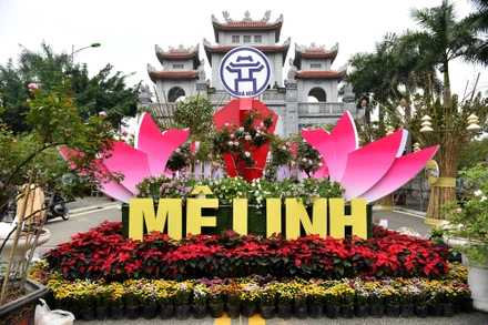[Ảnh] Lễ hội hoa “Mê Linh rực rỡ sắc hoa” 2022