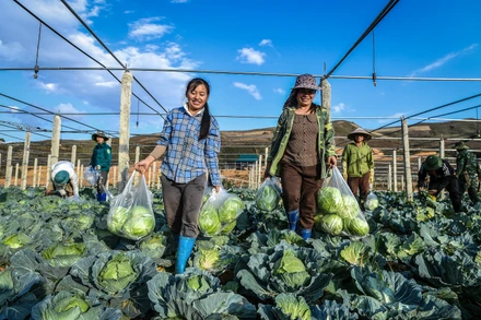Đầu năm, thăm "vườn rau sạch cho em" ở rẻo cao Nậm Pồ 
