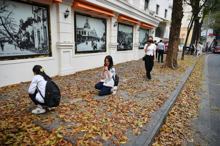 [Ảnh] "Con đường lá vàng" tuyệt đẹp bên ngoài tòa soạn Báo Nhân Dân