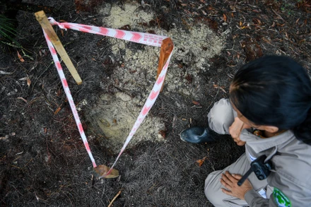 [Ảnh] Một ngày làm việc của "biệt đội" nữ rà phá bom mìn 