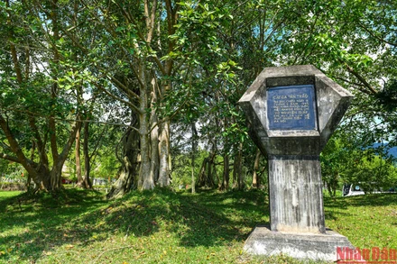 Dưới gốc đa Tân Trào, chiều ngày 16/8/1945, Đại tướng Võ Nguyễn Giáp đã đọc bản Quân lệnh số 1, ngay sau đó quân Việt Nam Giải phóng đã làm lễ xuất quân tiến về giải phóng Thủ đô Hà Nội trước sự chứng kiến của toàn thể đồng bào các dân tộc Việt Bắc và 60 đại biểu toàn quốc. Từ đó cho đến nay, cây đa Tân Trào đã trở thành một biểu tượng cách mạng của Thủ đô Khu giải phóng Tuyên Quang.