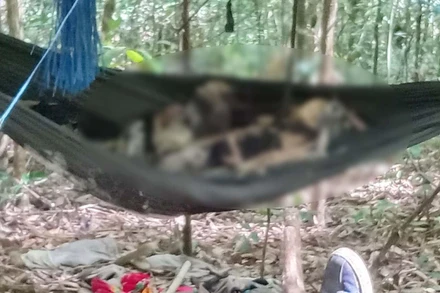 Một trong 2 thi thể chỉ còn xương khô được phát hiện trong rừng. (Ảnh: baogialai.com.vn)