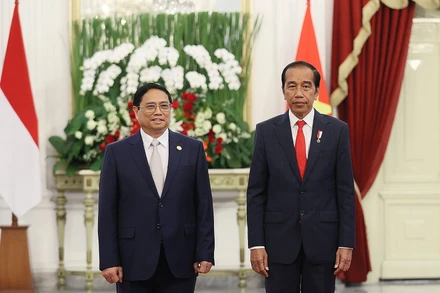 Thủ tướng Phạm Minh Chính hội kiến Tổng thống Indonesia Joko Widodo. (Ảnh: Dương Giang/TTXVN)