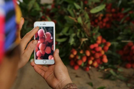 Ảnh: Thành Đạt