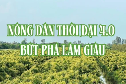 Nông dân thời đại 4.0 bứt phá làm giàu