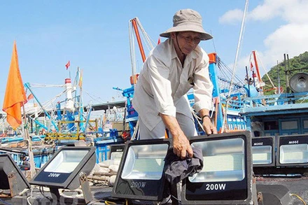 Ứng dụng đèn LED trong khai thác hải sản