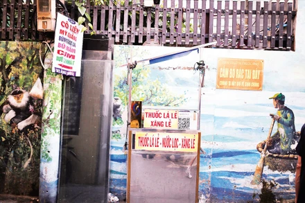 Hình ảnh hiện tại của Làng bích họa Đà Nẵng.