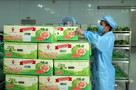 Xuất khẩu trái cây tiếp tục tăng trưởng mạnh trong 7 tháng đầu năm 2023. (Ảnh MINH ANH)