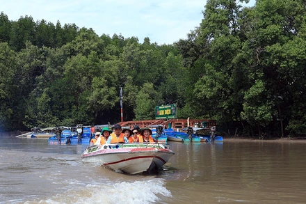 Du khách trải nghiệm đi ca-nô khám phá miệt vườn, kênh rạch Cà Mau.