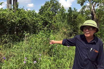 Khu vực đất nông nghiệp của công nhân Trạm thực nghiệm Văn Giang bàn giao cho dự án đường vành đai 4-Vùng Thủ đô Hà Nội.