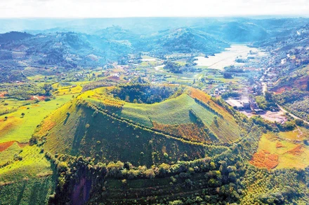 Thạch nhũ được các chuyên gia, nhà khoa học quốc tế phát hiện trong hang C8.