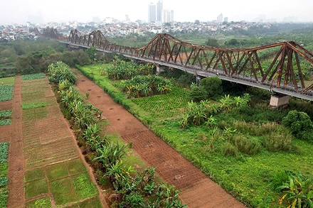 Nhiều chuyên gia đề xuất phải giữ cầu Long Biên khi cải tạo bãi giữa sông Hồng. (Ảnh HỮU NGHỊ)