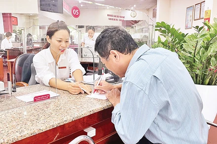 Agribank hỗ trợ vốn tín dụng cho các hộ nông dân, hợp tác xã sản xuất các sản phẩm nông nghiệp an toàn. (Ảnh ANH TUẤN)