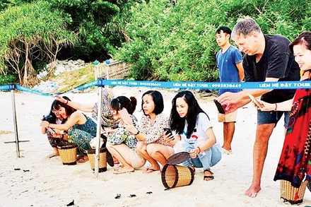 Du khách tham gia thả rùa con về biển.