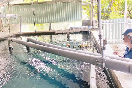 Trạm cấp nước sinh hoạt cho người dân ở xã Mỹ Phong, thành phố Mỹ Tho (Tiền Giang).