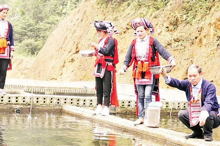 Ông Triệu Chàn Loàng, người đầu tiên đưa cá tầm về nuôi ở thôn Nậm An, xã Tân Thành, huyện Bắc Quang (Hà Giang).