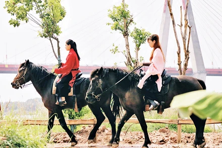 Cưỡi ngựa đang là hoạt động trải nghiệm được nhiều người ưa thích.