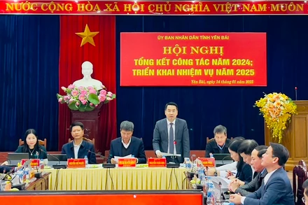 Chủ tịch Ủy ban nhân dân tỉnh Nguyễn Tuấn Anh phát biểu tại hội nghị. (Ảnh: THANH SƠN)