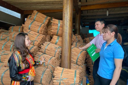 Cán bộ Ngân hàng Chính sách xã hội huyện Lục Yên kiểm tra hiệu quả vốn vay đối với đồng bào Dao xã Tân Phượng. (Ảnh: THANH SƠN)