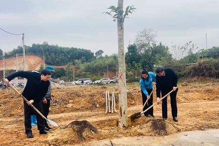 Bí thư Tỉnh ủy Trần Huy Tuấn tham gia trồng cây Xuân Ất Tỵ 2025. (Ảnh: THANH SƠN)