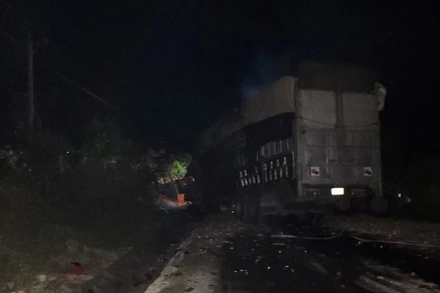 Xe tải BKS 77H-034.25 lao vào lề đường và bốc cháy phần đầu sau khi xảy ra tai nạn. 