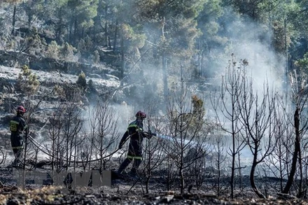 Nhân viên cứu hỏa nỗ lực khống chế đám cháy rừng tại Fuente de la Reina, Tây Ban Nha, ngày 29/3/2023. (Ảnh: AFP/TTXVN)