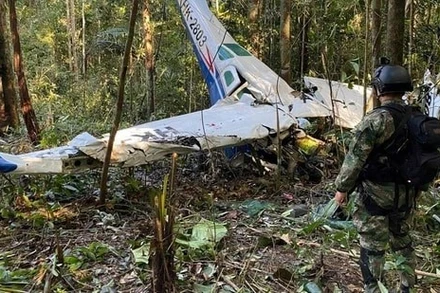 Ảnh minh họa. (Nguồn: pardaphash)